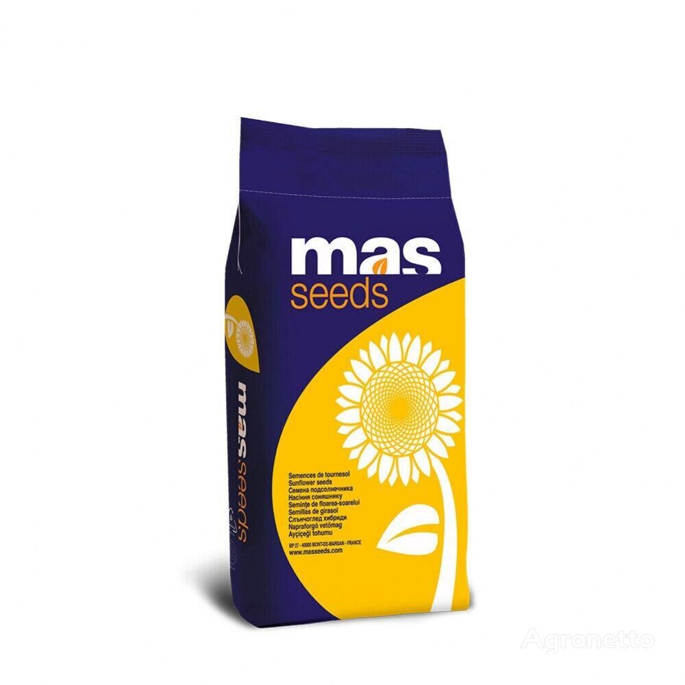 Sunflower seeds MAS 81.K (MAS 81.K)